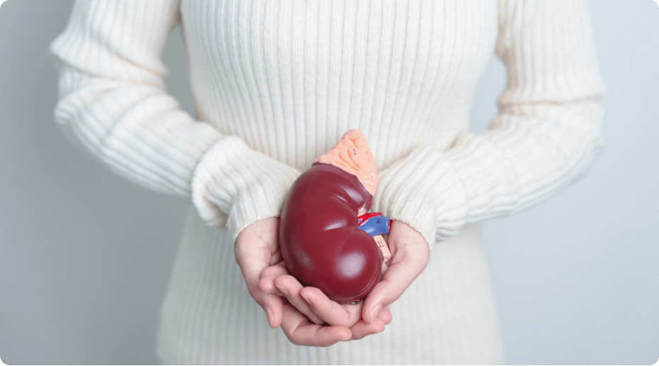 慢性腎臓病（CKD）