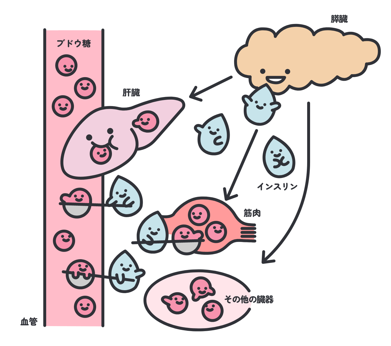 インスリンの役割